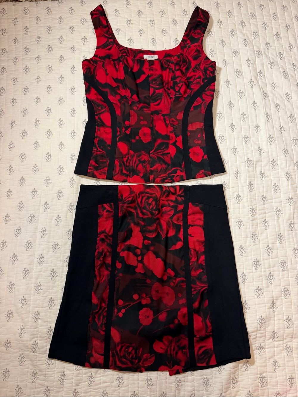 Vintage Caché Red & Black Rose Corset Top + Skirt Set